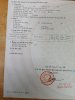 z6353052339668_478fb4d8d82269794d75fb0896a24a71.jpg