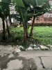 z6418410562814_2710bd38796cc961c4cf725fc5d452a0.jpg