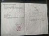 z6478697473647_42867bdd56543b1d5352d6f6d71dee68.jpg