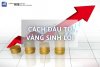 vàng sinh lời.jpg