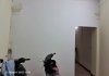 z6533980080892_6f2fda41b6c9119a5c2778ae2a457435-500x350.jpg